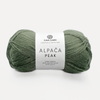Seafoam Green (434)